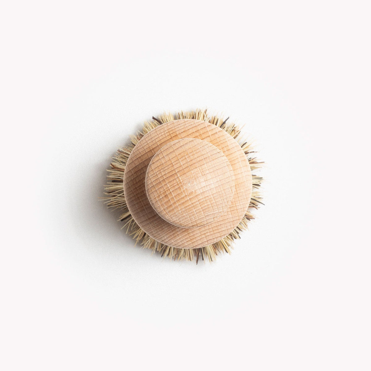 Field natural fiber brush from directly above, wood knob ringed by natural bristles